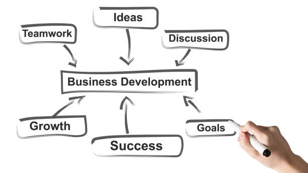 istock Female Hand Drawing Business Development Scheme Over White Background, Collage 1255185153