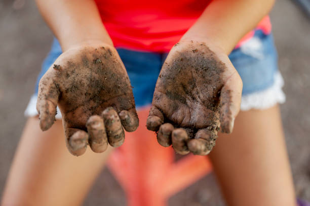 Muddy hands Muddy hands people covered in mud stock pictures, royalty-free photos & images
