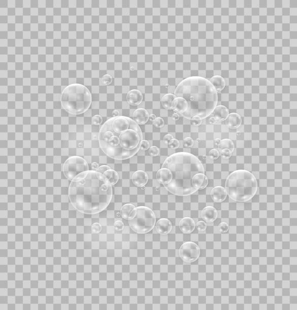 Soapy Bubbles Vector Art Icons And Graphics For Free Download