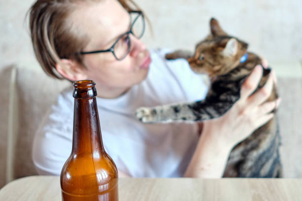 un homme avec des verres à une table avec une bouteille de bière joue avec un chat animal. - illness domestic cat headache animal photos et images de collection