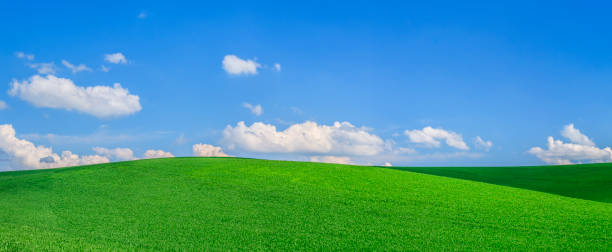istock Panoramic spring landscape XXXXL 52 MPix - green field, blue sky 1255190048