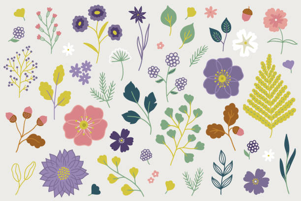 ilustraciones, imágenes clip art, dibujos animados e iconos de stock de conjunto floral con helecho, rosa silvestre, bellota, hojas de roble, flores - rosa salvaje