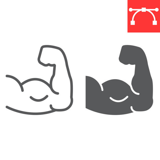 illustrations, cliparts, dessins animés et icônes de ligne de muscle de bras et icône de glyphe, fitness et bodybuilder, graphiques de vecteur de signe de biceps, icône linéaire de course modifiable, eps 10. - muscular build illustrations