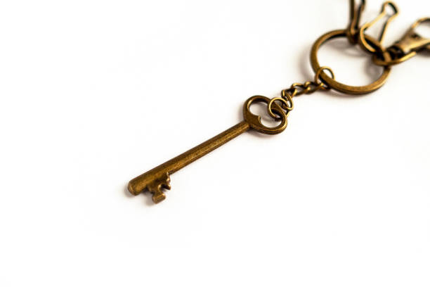 istock Old vintage antique golden key on white background. 1255192960