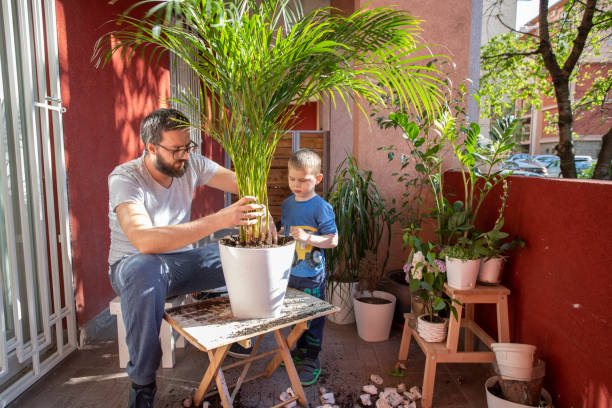 istock Good Care For His Plant 1255194593