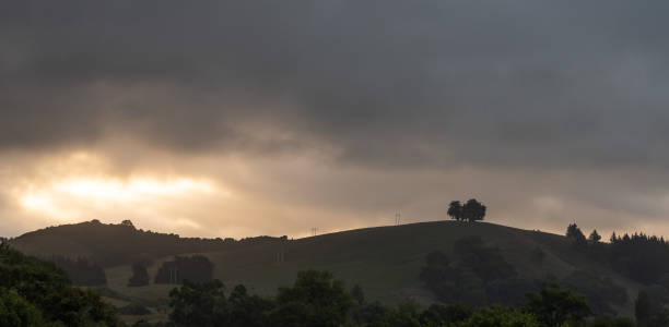 istock Cloudy sunset scene with hills and solitary trees on top of them 1255197742