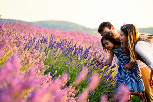 istock Happy family in lavender field 1255199283