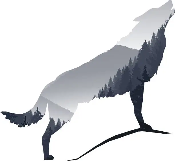 Vector illustration of Silhouette of howling wolf