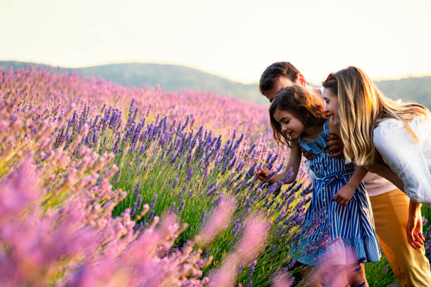 istock Happy family in lavender field 1255200233