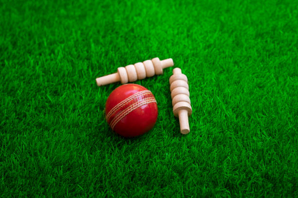 istock cricket ball and bails on green grass 1255208618