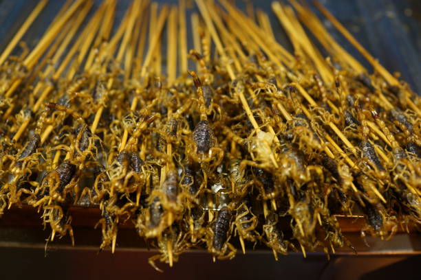 istock Scorpion Kebab, Beijing Street Food 1255209231