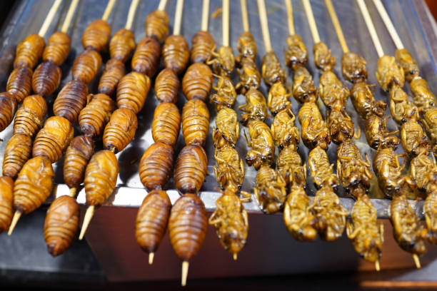 Cicadas, Beijing Street Food