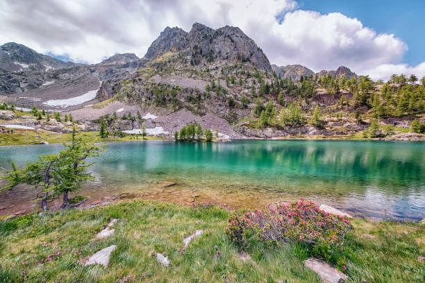 paysage dans le sud de la france - mercantour national park photos et images de collection