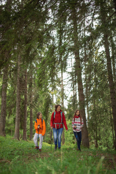 istock Family on hiking 1255209953