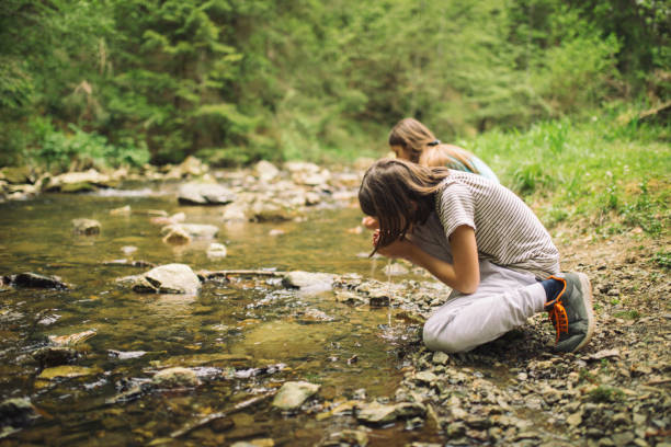 istock Kids drinking water from river in the mountains 1255210597