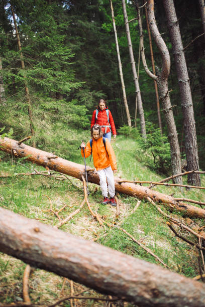 istock Family on hiking 1255210674