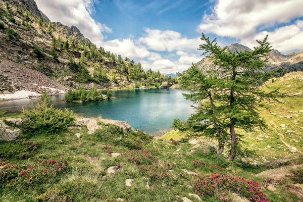 landscape in south of france - mercantour national park imagens e fotografias de stock