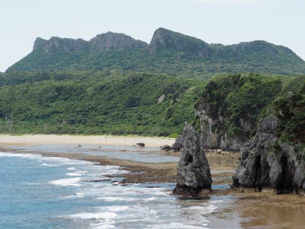 istock Panoramic view of pacific ocean and limestone plateau called Daisekirinzan from Cape Hedo, the north end of Okinawa main island (Kunigami-son, Kunigami-gun, Okinawa, Japan) 1255211132