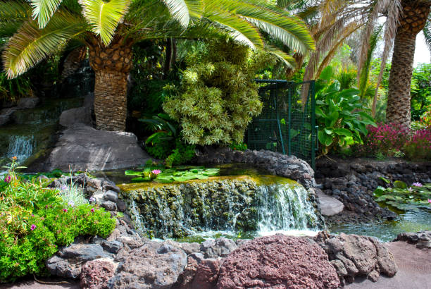 Tropical water garden in La Oliva, Fuerteventura one of the Canary Islands