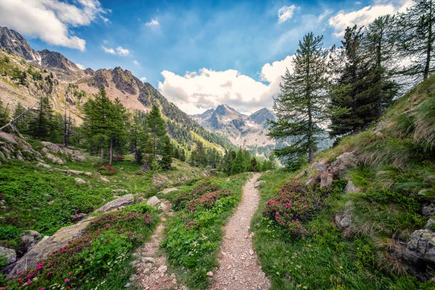 paisaje en el sur de francia - european alps europe high up lake fotografías e imágenes de stock