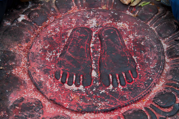 Footprints in the mud of an animal