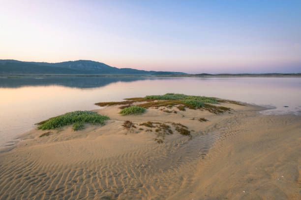 Sandbar with ripples caused by water stock photo