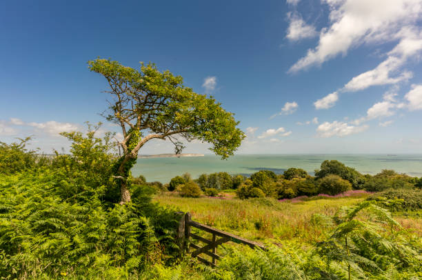 Sandown Bay, from Luccombe, Isle of Wight