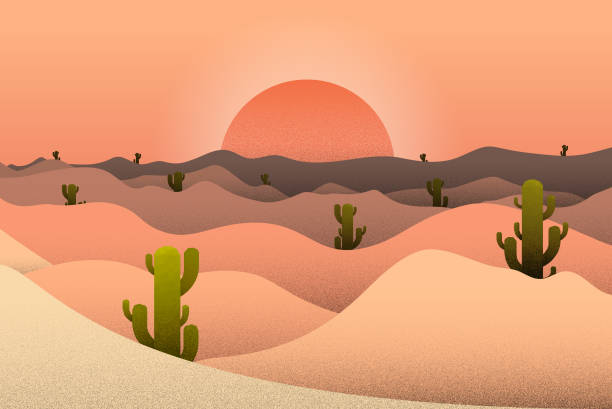 illustrations, cliparts, dessins animés et icônes de illustration de paysage de désert de coucher du soleil et de cactus. illustration de stock de vecteur. - sable illustrations