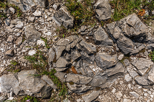 Texture of some natural rocky floor from Sabotino Mountain, FVG region, Italy, border to Slovenia.