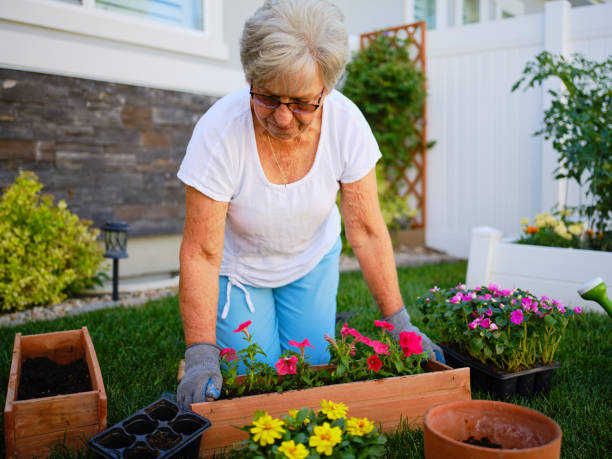 istock Senior Woman in a Backyard Garden 1255228956