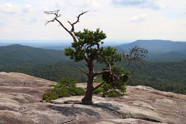 istock Stone Mountain, Stone Mountain State Park, North Carolina. 1255230074