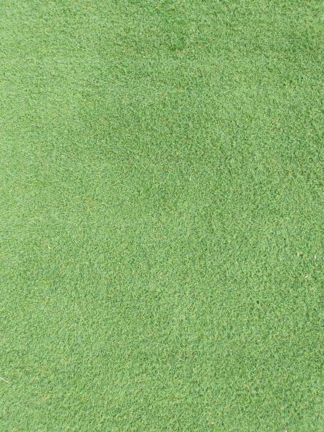 istock clean green natural grass. artificial grass near swimming pool. clean artificial light green grass. 1255230862