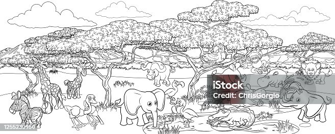 374 African Animals In The Jungle Black And White. Illustrations & Clip Art  - iStock
