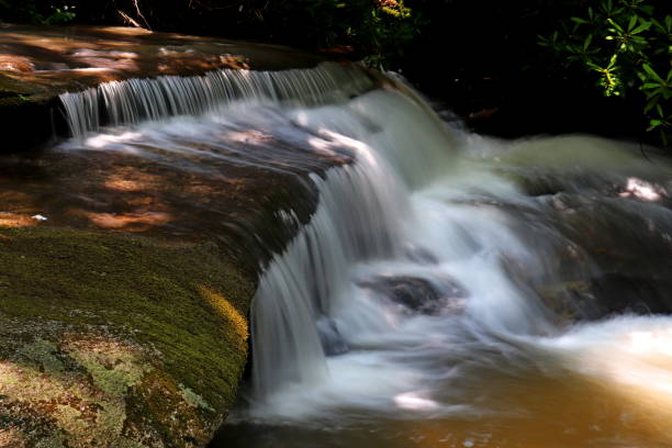 istock Waterfalls, flowers, and other scenery in Stone Mountain State Park 1255231119