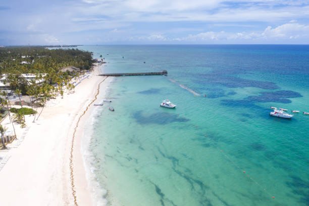 istock Aerial view from drone on caribbean shore 1255231200