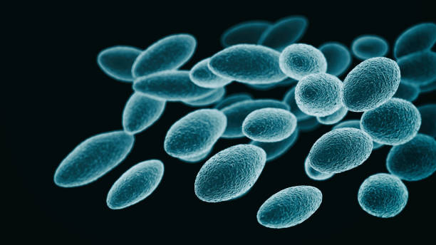 abs builenpest bacteriën - bacterial mat stockfoto's en -beelden