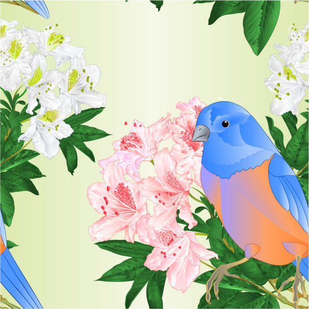 illustrazioni stock, clip art, cartoni animati e icone di tendenza di uccello dalla trama senza cuciture piccolo mughetto bluebird e rododendro chiaro e bianco acquerello sfondo sorgente vintage illustrazione vettoriale modificabile - spring birdsong bird seamless