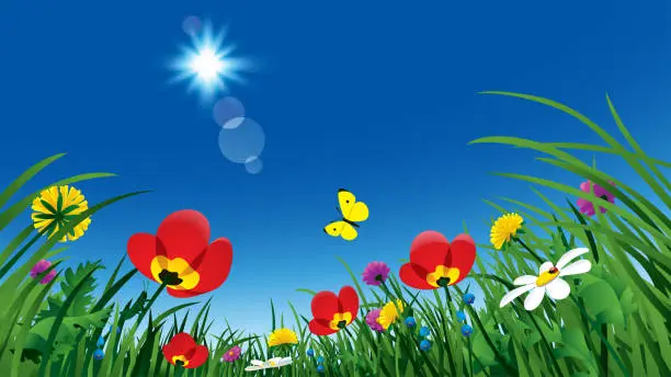 Vector illustration of Meadow flowers under the summer blue sky