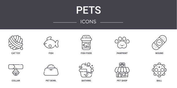 pets concept line icons set. contains icons usable for web, logo, ui/ux such as fish, pawprint, collar, bathing, pet shop, ball, wound, fish food pets concept line icons set. contains icons usable for web, logo, ui/ux such as fish, pawprint, collar, bathing, pet shop, ball, wound, fish food fish food stock illustrations