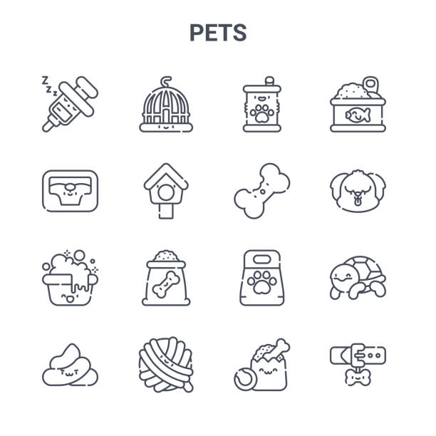 bildbanksillustrationer, clip art samt tecknat material och ikoner med uppsättning av 16 husdjur koncept vektor linje ikoner. 64x64 tunna stroke ikoner såsom bur, sällskapsdjur säng, hund, sällskapsdjur mat, katt leksak, krage, djuraffär, hund kex, konserverad mat - hundgodis