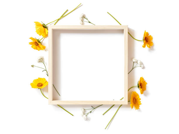 istock Flower composition. A template from an empty wooden frame, yellow and white flowers is on a white background. Holiday layout. Holiday layout. Social media background. Flat lay, top view, copy space. 1255244117