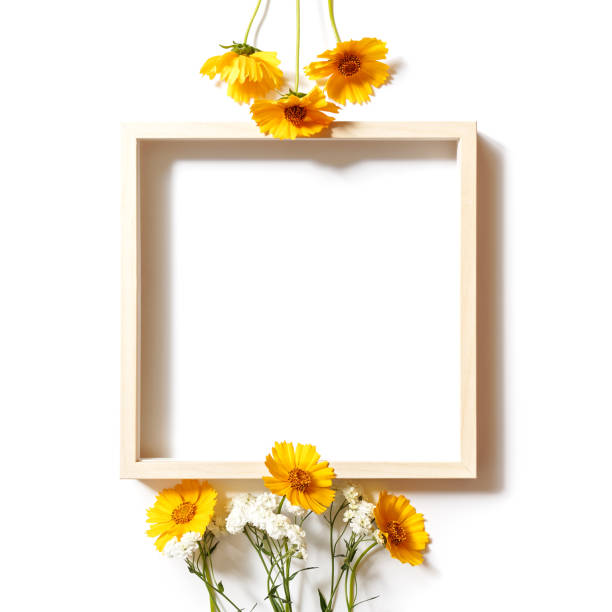 istock Flower composition. A template from an empty wooden frame, yellow and white flowers is on a white background. Holiday layout. Holiday layout. Social media background. Flat lay, top view, copy space. 1255244136