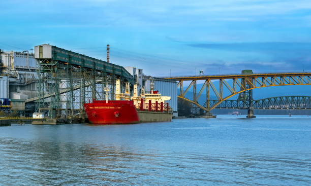 istock Ship under loading in sea port of Vancouver 1255246193