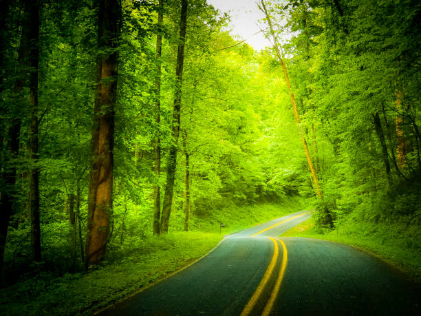 istock Summer Journey through the Appalachian Mountains 1255247697