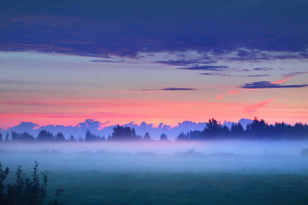 champ de campagne dans un brouillard au lever du soleil. silhouettes d’arbre à l’arrière-plan. lumière du matin dorée pure. nuages rouges lumineux épiques. scène rurale idyllique. concept art, conte de fées, pittoresque, couleurs licorne - vibrant color rural scene outdoors tree photos et images de collection