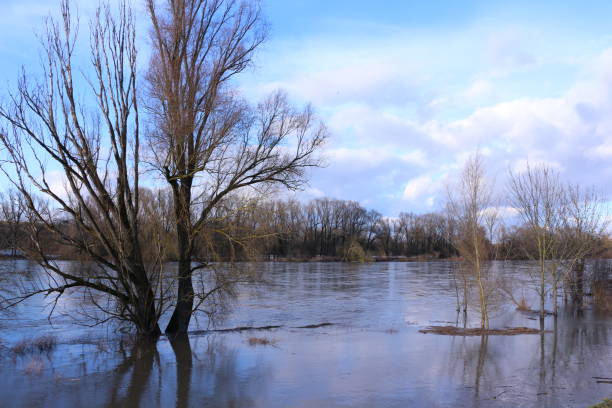 istock Danube floods in Bavaria 1255248616