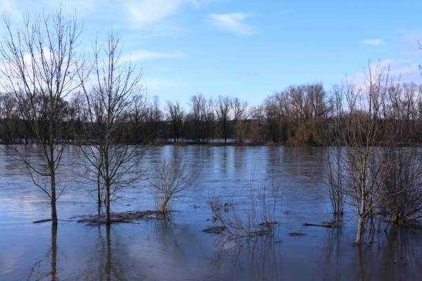 istock Danube floods in Bavaria 1255248735