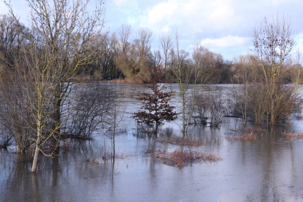 istock Danube floods in Bavaria 1255248785