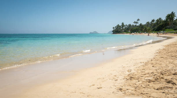istock Couple walking on tropical sandy beach with azure waters 1255250328