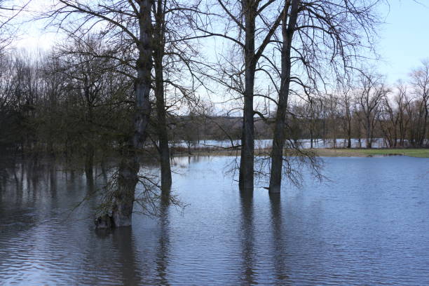istock Danube floods in Bavaria 1255250725